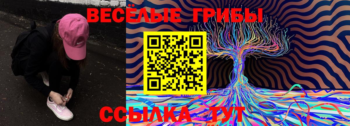 Псилоцибиновые грибы Cubensis  сколько стоит  Дедовск  Вход с VPN 